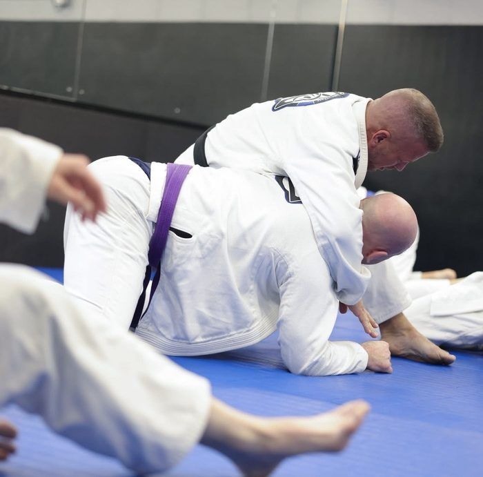 ABOUT THE BRAZILIAN JIU JITSU FUNDAMENTAL PROGRAMME